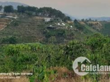 BÁN LÔ ĐẤT XÃ CÁT TRINH , huyện phù cát. Vị trí nằm trung tâm xã cát trinh -