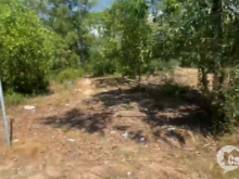 Bán đất mặt tiền đường nhựa tại Cát Lâm - Phù Cát khu buôn bán sầm uất nè ace