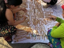 Chính chủ cần bán nhanh lô đất ngay chợ Bù Nho , MT DT741 , Giá chỉ 430tr/nền