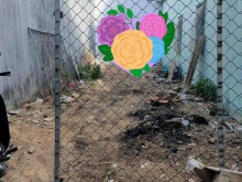 Bán đất hẻm cuối năm nay đường Thanh Niên_P Quang Trung