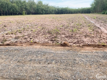 Kẹt tiền e cần bán nhanh lô đất tại ThẠnh Bình , Tân Biên