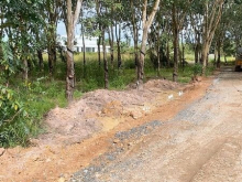 LÔ ĐẤT Ở THẠNH BÌNH TÂN BIÊN TÂY NINH