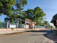 Cơ hội đầu tư sinh lời cao, sẵn thổ cư, ngay lồng hồ Dầu Tiếng, giá chỉ từ 270tr