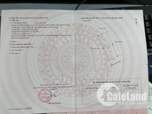 BÁN ĐẤT ĐẦU TƯ NGŨ LÃO  TRỤC ĐƯỜNG THÔNG KINH DOANH BUÔN BÁN