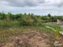 Cần bán 1nền ấp Giồng Nhãn A. Hiệp Thành Diện tích 7x50m2