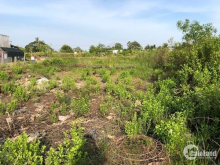 Đất dài thăm thẳm thích hợp làm nhà ở, nhà trọ, nhà vườn