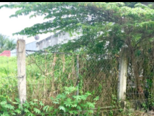 Ra gấp 1nền 176m2 Cực Hiếm P.7, 50m2 thổ, 10tr/m2