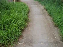 Bán đất nền Phường Trường An, Tp Vĩnh Long cho ace