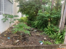 Đất CLN phường 3, hẻm xe 3 gác giá rẻ bèo