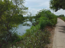 Cần bán gấp lô đất view sông, phước hòa tuy phước bình định giá siêu mềm