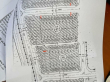 Sang phiếu trúng đấu giá Diêu Trì - Tuy Phước trng năm nay