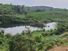 Cần bán 2 mẫu đất Trị An. Từ trục 768 vào 500m.