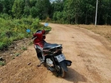 Cần bán gấp 1ha1 có 170m mặt tiền đường bê tông