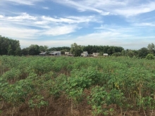 Chủ Ngộp cần bán nhanh trong tuần  . Dt : 7xao2 (7200m2 )