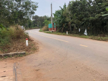 Cần bán đất Xuân hiệp diện tích 1 xào ngang 12,6m dài 81m