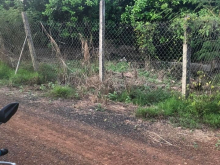 ĐẤT XUÂN BẮC -XUÂN LỘC -ĐN  Chính chủ gửi bán 1 mẫu 4 đất đang trồng trái cây