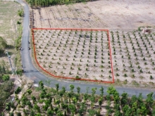 Bán đất ven biển gần Irelax Bankok resort giá rẻ