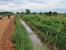 Lô Hải Ninh MẶT TIỀN ĐƯỜNG, cách CAO TỐC chỉ 1.5km