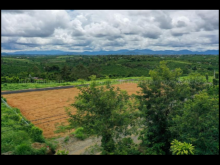 Tổng DT: 6500m2 với 32 nền đã có thổ cư, thế đất bằng đẹp