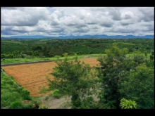 Tổng DT: 6500m2 với 32 nền đã có thổ cư, thế đất bằng đẹp