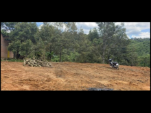 bán 1.5ha vườn sầu riêng hột lâu năm, cho thu mạnh  Suối bao quanh vườn  Cách qq