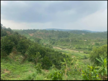 Bán đất cách ql55 2 km, thích hợp đầu tư nghĩ dưỡng, đất ở t7 xã lộc nam  #giá 7