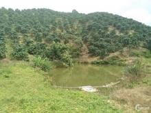 Cuối đường B'lao Sire thôn 10c Lộc Thành,Bảo Lâm Cách đường quốc lộ 20 11km