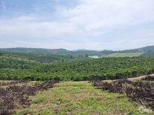 Đất view Hồ Đăk lé 600m2, 580 triệu Bảo Lộc