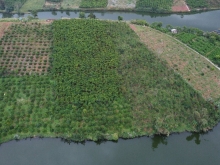 Cần bán gấp 3.2 sào đất Hồ Lộc Tân, 1.1tr/m2, SHR