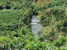 Bán 3.700m2 đất vườn view nhìn toàn cảnh gần Thác Đambri, Bảo Lộc, Lâm Đồng