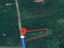 Cần bán 107hec đất nông lâm nghiệp