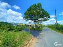 cần bán 3 lô diện tích 1000m2 nông nghiệp khu dân cư