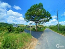 cần bán 3 lô diện tích 1000m2 nông nghiệp khu dân cư