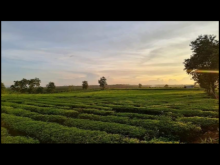 Cần bán lô đất S : 8×20 (80m²tc), #giá 750tr (thương lượng chính chủ)