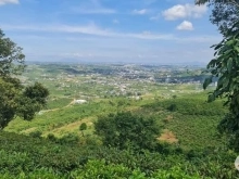 4Sào9 (4900m2) Ỷ LAN - ĐẠI LÀO - TP BẢO LỘC Thế đất cao View toàn thành phố Đườn