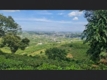 4Sào9 (4900m2) đất cao View toàn thành phố ĐườngLÔ ĐẤT NGHỈ DƯỠNG VIEW ĐỈNH CAO