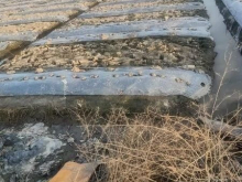 BAO ĐẸP BAO ĐẸP Đất Lúa  - Vị trí: Từ cầu Rạch Búa quẹo vô khoảng 500m