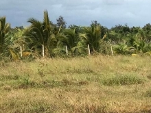 BÁN 2,5 SÀO ĐẤT HOÀ KHÁNH-NẰM TRÊN ĐƯỜNG VÀO ĐỒI NHẤT TRÍ