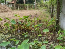 Cần bán gấp miếng đất mặt tiền 28m tại Cai Lậy