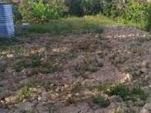 Bán nền Cai Lậy, Ngũ Hiệp  Ấp Hòa Thịnh cách phà Tam Bình 500m