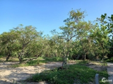 Chính chủ gửi bán nền 11,5 x 25,5 Kim Sơn đất CLN giá siêu rẻ