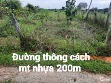 Bán 900m2 đất Long Bình Điền Chợ Gạo đang trồng bưởi