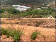 Bán đất đường Trần Thái Tông, TP Đà Lạt --Dt : 4.113 m2 đã chia nhiều thửa! Mỗi