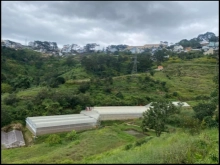 3796m2 , thực tế 4300m2 ,đường oto tận đất, sổ riêng nông nghiệp, đất vuông vức,