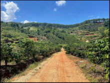 10.636m2, thuộc xã Tà Nung TP Đà Lạt tỉnh Lâm Đồng. Giao thông thuận tiện, cách