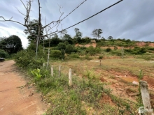 CẦN BÁN ĐẤT NÔNG NGHIỆP ĐÃ CÓ SỔ RIÊNG MĂNG LIN ĐÀ LẠT LÂM ĐỒNG