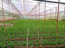 Chính chủ cần bán 6 lô đất ở Đa Phú, phường 7 Đà Lạt