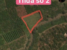 Chính chủ cần bán 2 thửa đất mặt tiền đường tại Liên Đầm - Di Linh.