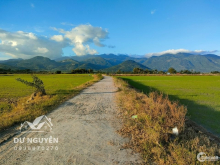 Ruộng Diên Sơn cách dân cư chỉ hơn 200m