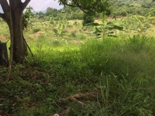 Diên Điền gần hồ Am Chúa. DT 4.500m2